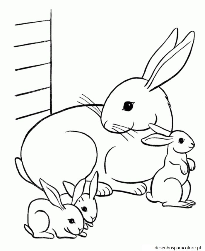 Desenhos de coelhos 20